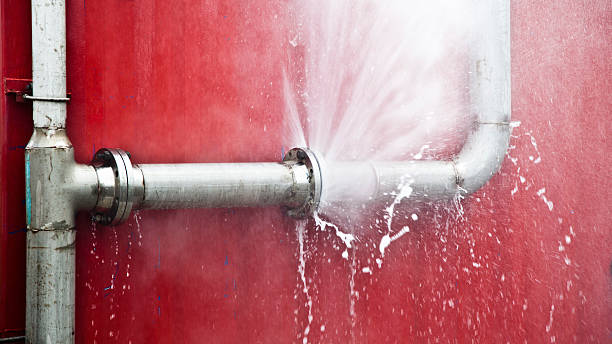 Best Ceiling water damage repair  in South Houston, TX